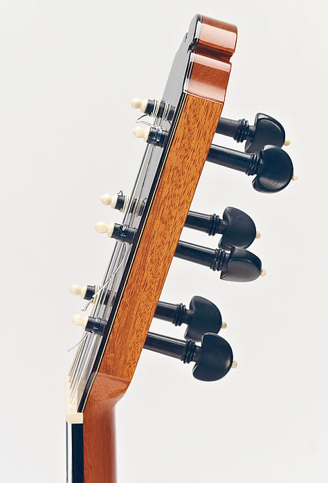 Ebony pegs and bone decorative pips